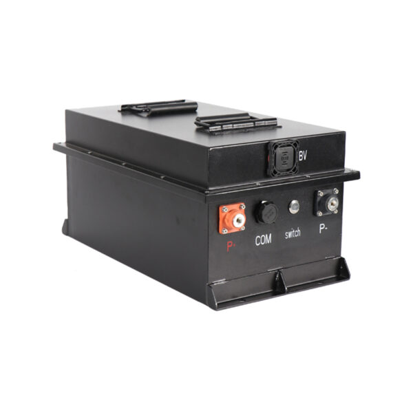 Lithium Ion Battery Pack